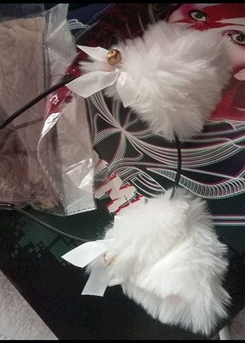 kedi kulak ve kirpik