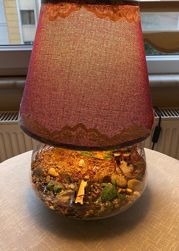 Mor Kumaş Abajurlu Dekoratif Teraryum - Görsel 4