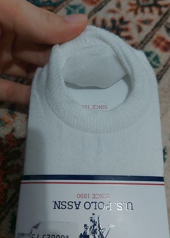 Kadın Polo Çorap - Görsel 3