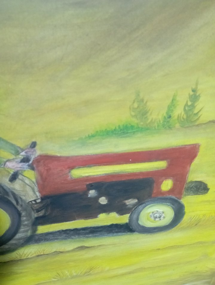 Tarla Temalı Koyun Renkli Yağlı Boya Tablo - Görsel 3