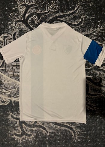 Erzurumspor Forma - Görsel 2