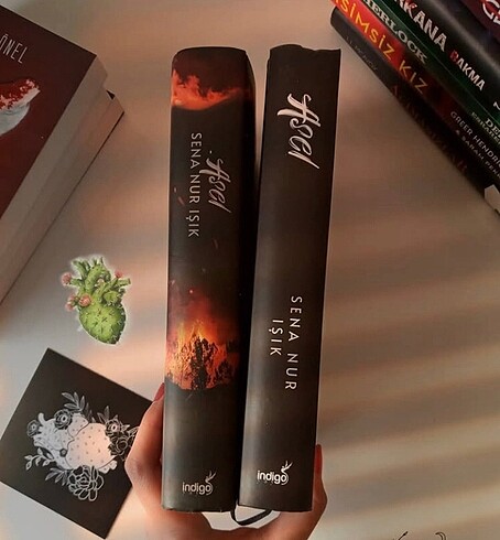  Asel kitap