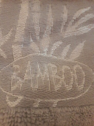 Bambu