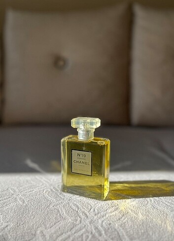 Chanel No 19 Poudre
