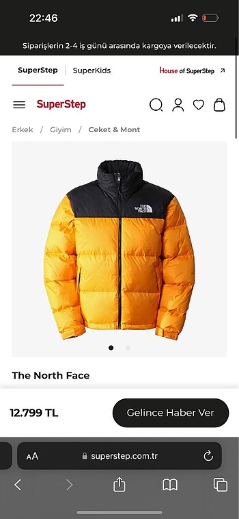 the northface mont