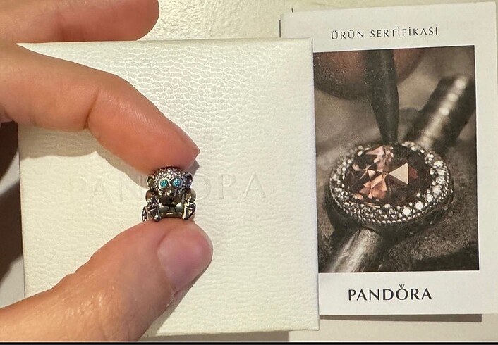 Pandora charm