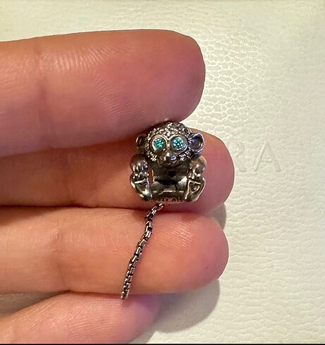 Pandora Pandora charm