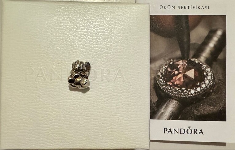 Pandora Pandora Charm
