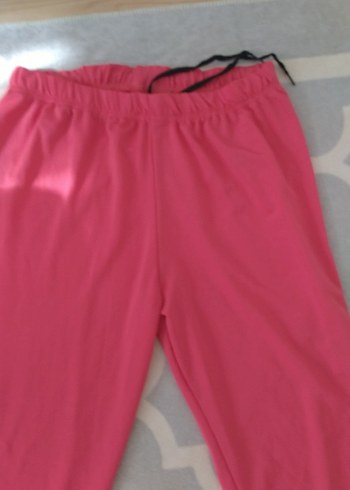 mayo Deniz Taytı - Görsel 2