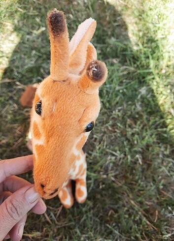 Diğer Zürafa