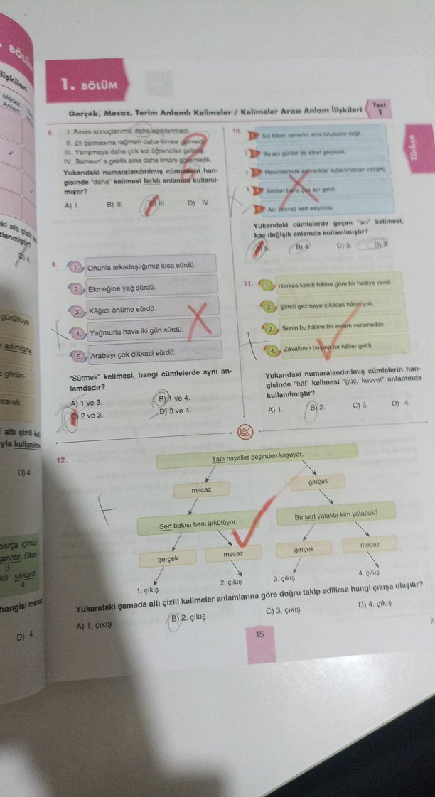 7. Sınıf Tüm Dersler Soru Bankası - Görsel 5