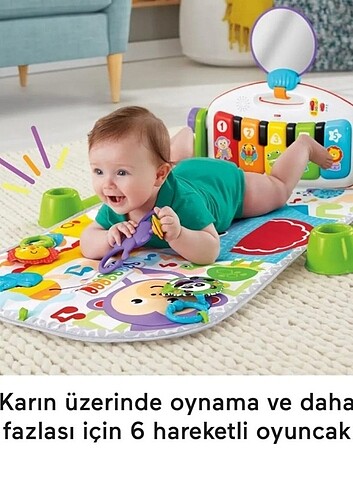 Beden Renk Fisher price lux oyun parkı