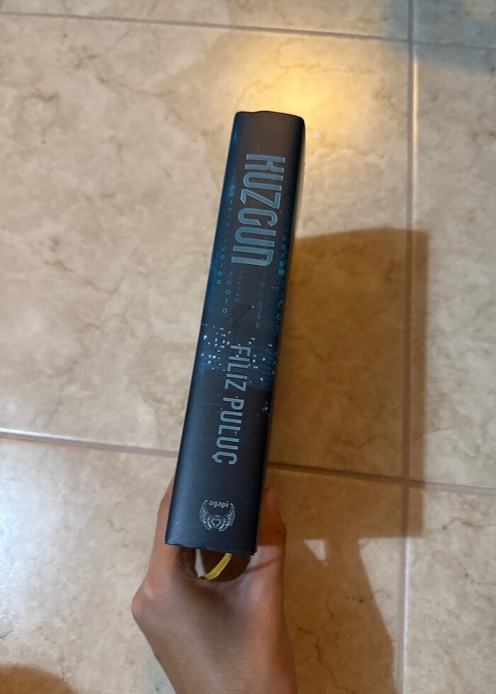 Kuzgun - Filiz Puluç (Ciltli) - Görsel 2