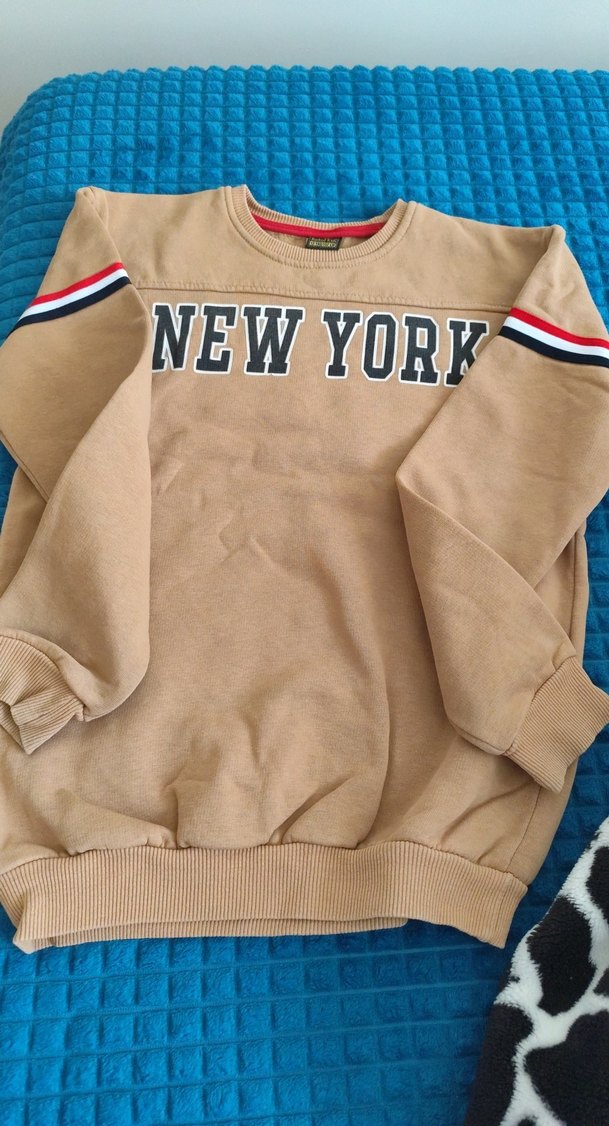 Erkek Çocuk Kahverengi Sweatshirt - Görsel 2