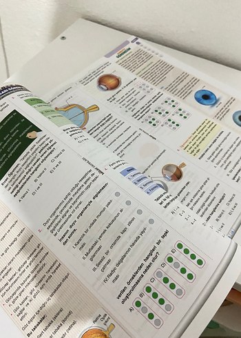 11. Sınıf Biyoloji Soru Bankası Miray Yayınları - Görsel 2