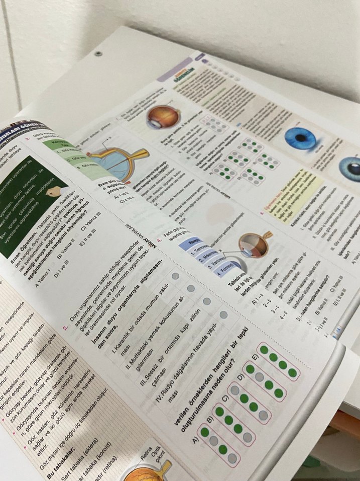 11. Sınıf Biyoloji Soru Bankası Miray Yayınları - Görsel 2