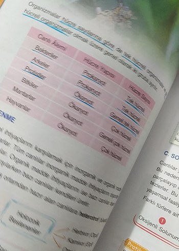 TYT Biyoloji Konu Anlatımlı El Kitabı - Görsel 4