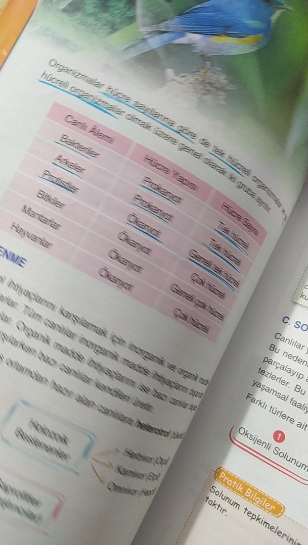 TYT Biyoloji Konu Anlatımlı El Kitabı - Görsel 4