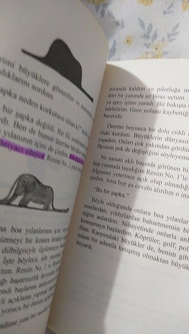 Küçük Prens Hikaye Kitabı - Görsel 3