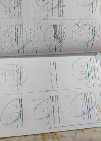 Beden Şenol hoca çıtır çerez problemler soru bankası