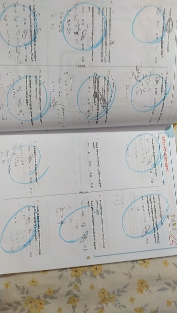 Şenol hoca çıtır çerez problemler soru bankası - Görsel 3