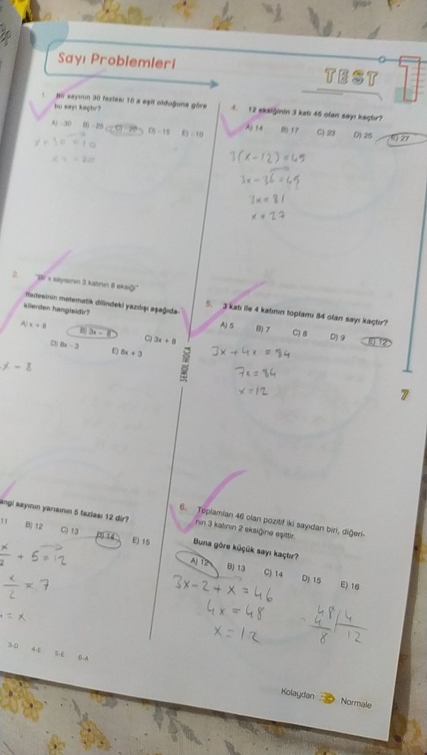 Şenol hoca çıtır çerez problemler soru bankası - Görsel 2