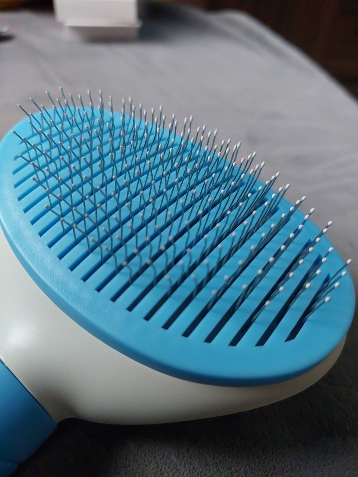 Mavi Renkli Otomatik Temizlenen Kedi Tüy Fırçası - Görsel 3