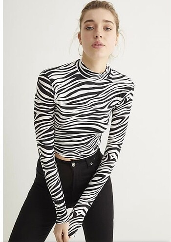 Crop zebra