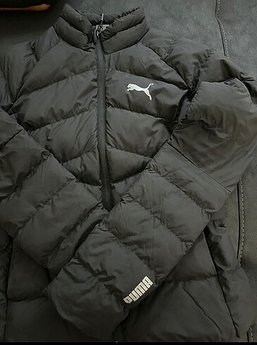 Puma mont