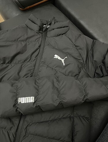 Puma Puma mont