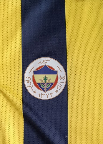 Orijinal Fenerbahçe 100.yıl Forması - Görsel 7
