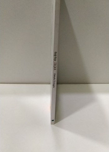 Kaygı Kuşu - Züleyha Ersingün Şiir Kitabı - Görsel 2