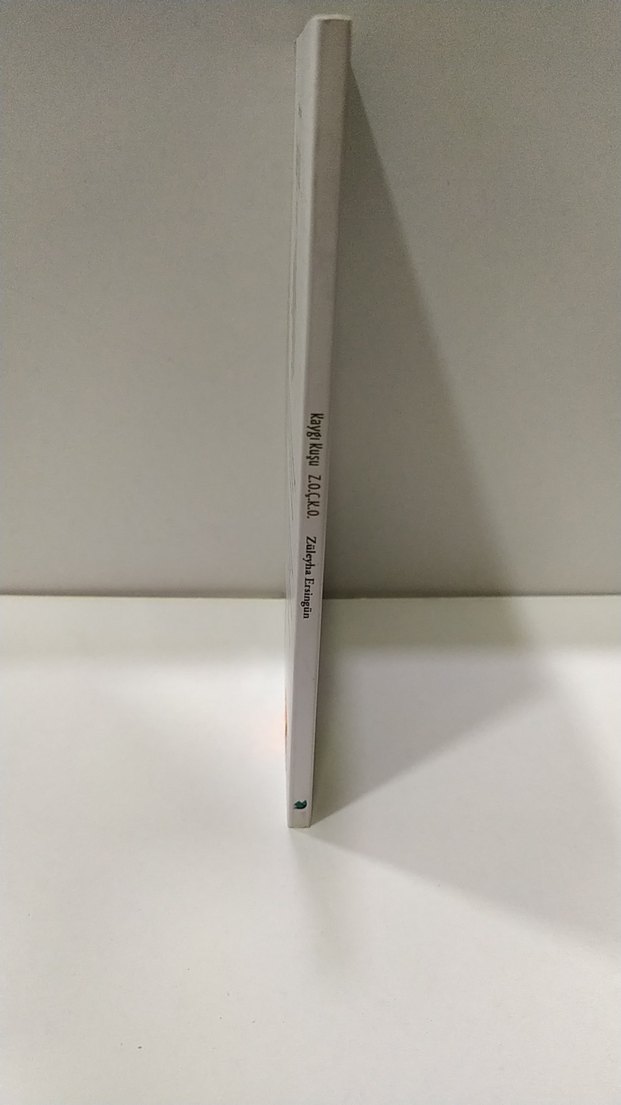 Kaygı Kuşu - Züleyha Ersingün Şiir Kitabı - Görsel 2