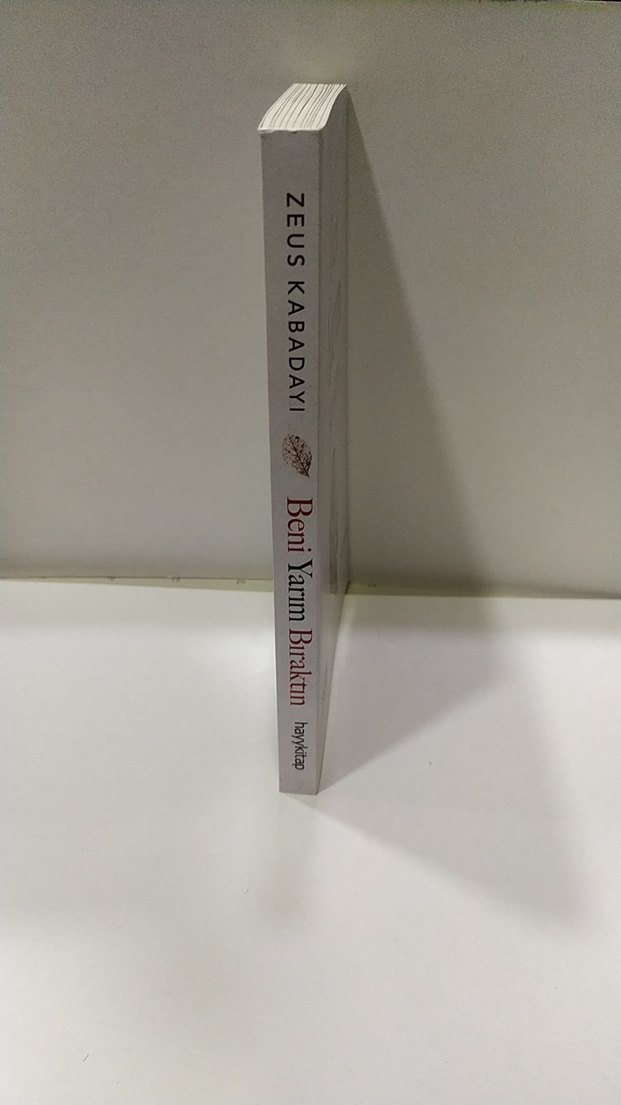 Beni Yarim Bıraktın - Zeus Kabadayı - Görsel 2