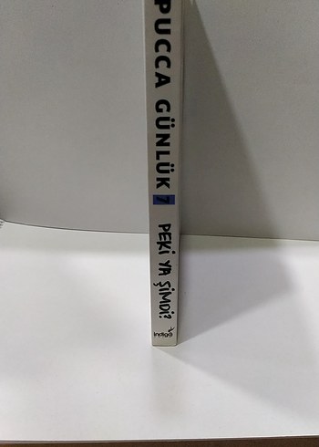 Pucca Günlük - Peki Ya Şimdi? - Görsel 2