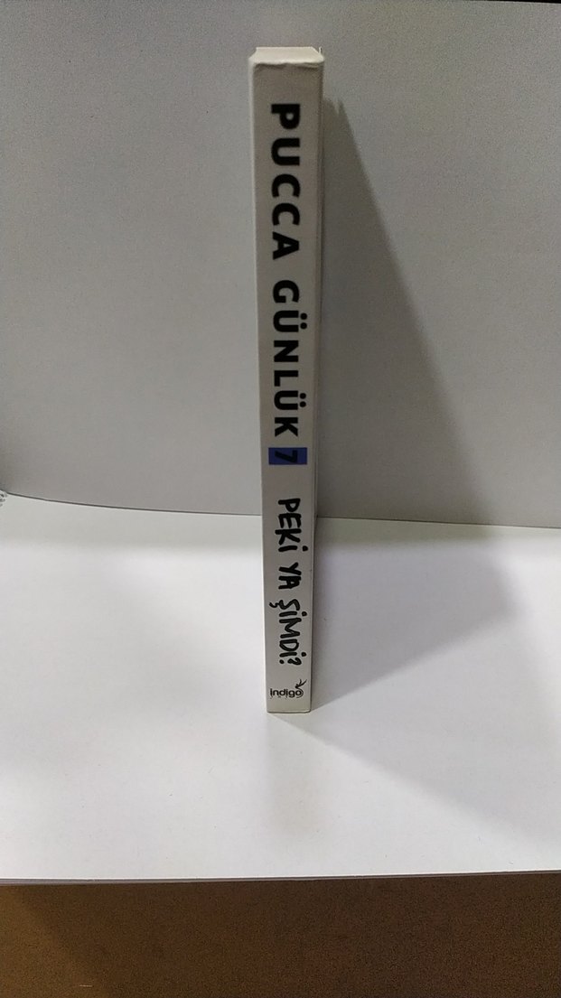 Pucca Günlük - Peki Ya Şimdi? - Görsel 2