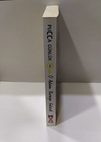 Pucca Günlük 5 - O Adam Buraya Gelecek - Görsel 2
