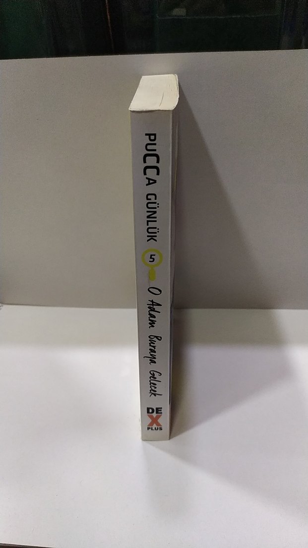 Pucca Günlük 5 - O Adam Buraya Gelecek - Görsel 2