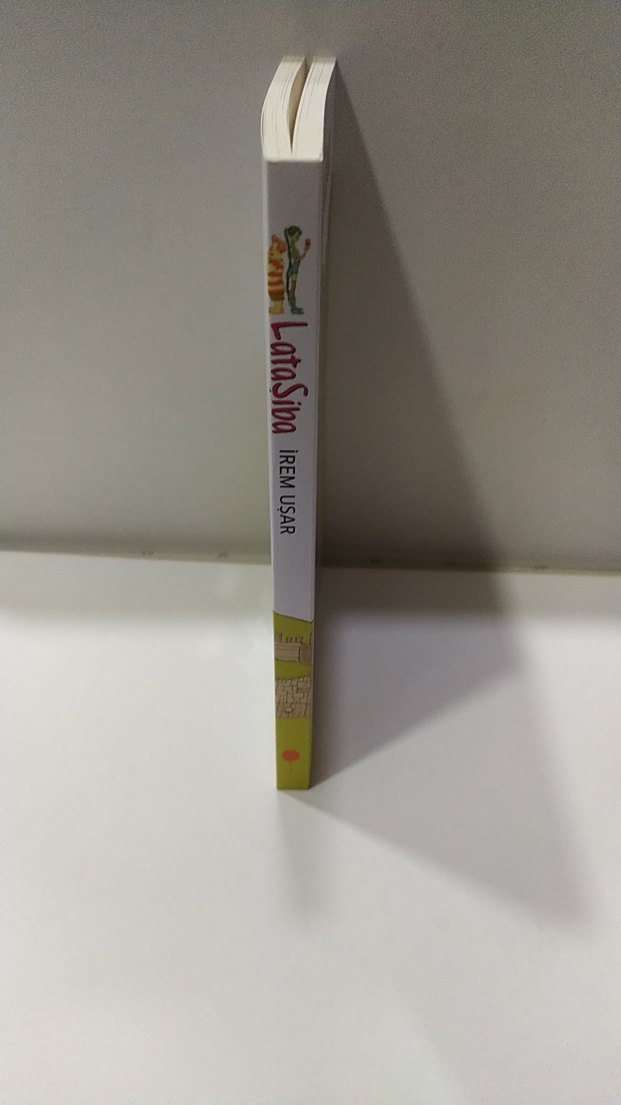 LataSiba İki Kentin Arasında - İrem Uşar - Görsel 2