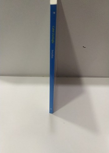 Cahit Zarifoğlu - Serçe Kuş Şiir Kitabı - Görsel 2