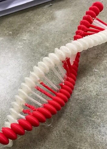 PLASTİK DEKORATİF DNA MODELİ 