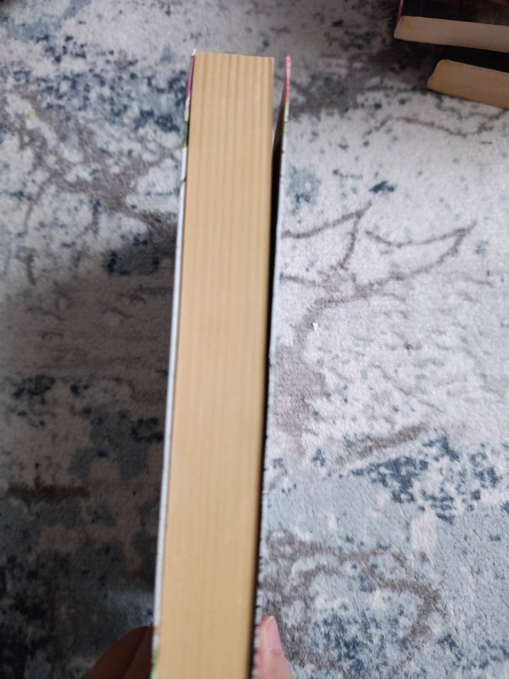 Baharın Peşinde - R.S. Grey - Görsel 3