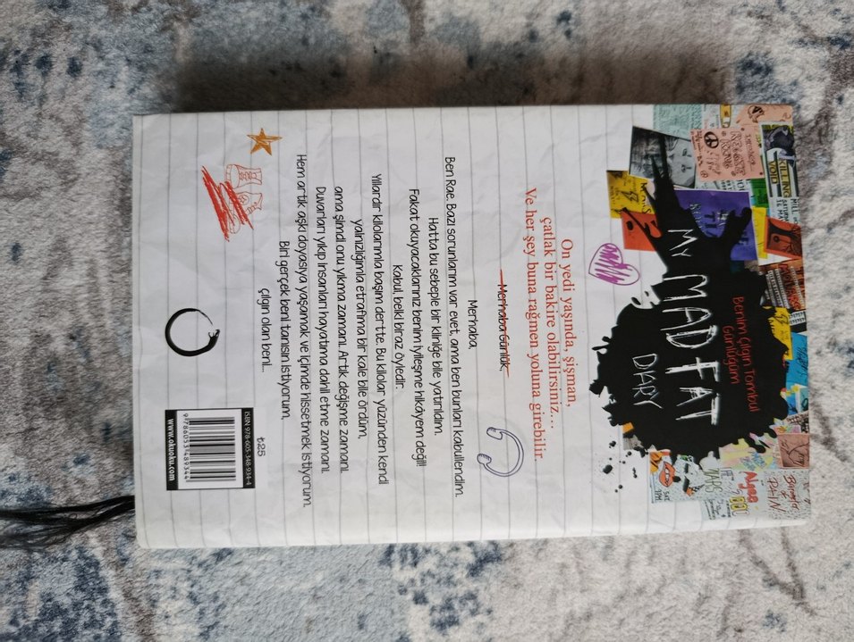 My Mad Fat Diary 1 - Rae Earl - Görsel 2