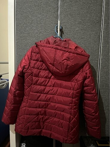 36 Beden Polo kadin mont