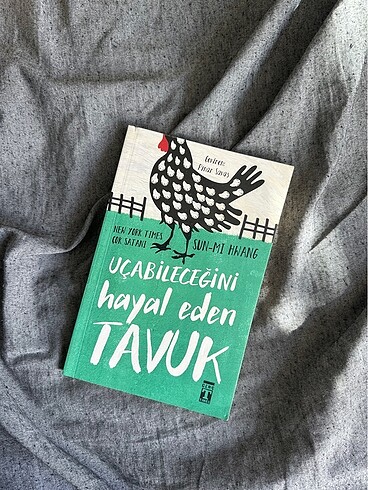 Uçabileceğini Hayal Eden Tavuk