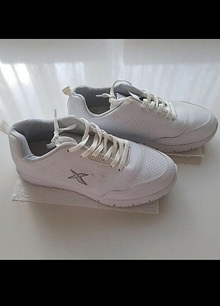 38 Beden Kinetix 