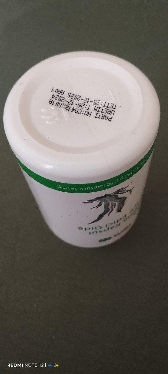 Tiens Spirulina Kapsül Takviye Edici Gıda - Görsel 2