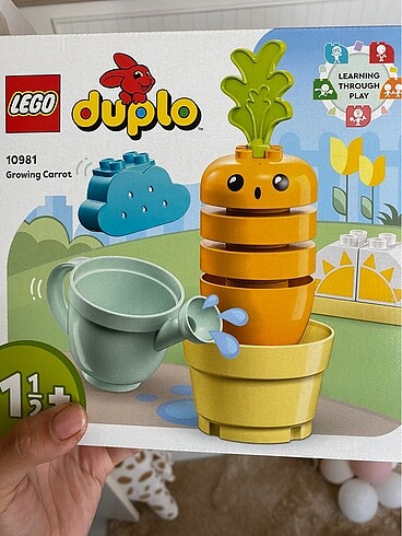 Duplo ilk büyüyen havucum