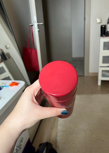 Starbucks Winter Limited Edition Termos - Görsel 2