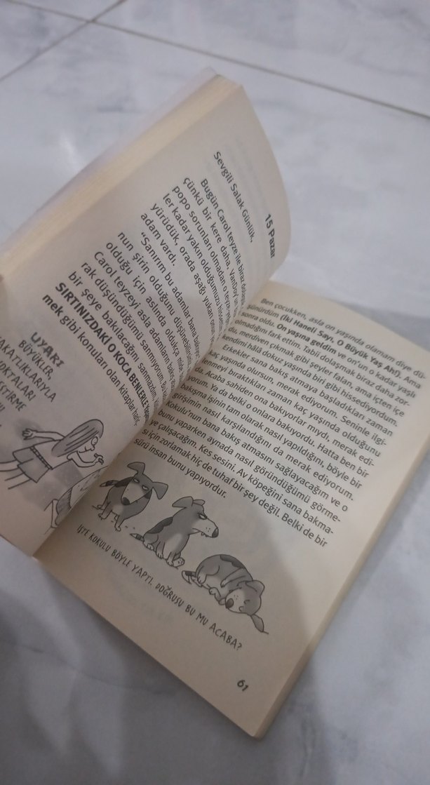 Sevgili Salak Günlük - Büyükler İnsan Olabilir mi? - Görsel 3